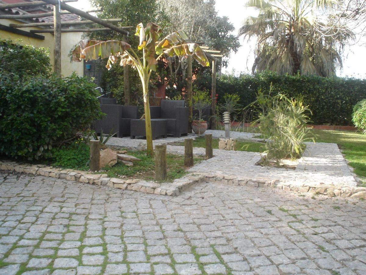 Quinta Da Sao Joao - Villa Oliveira Olhao Ngoại thất bức ảnh