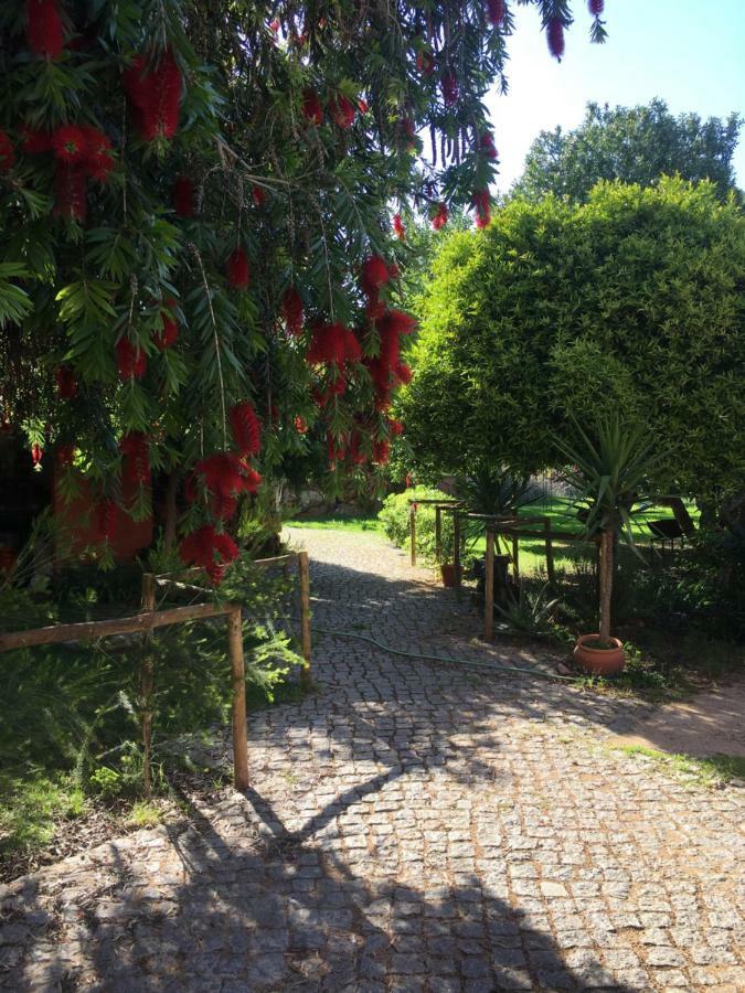 Quinta Da Sao Joao - Villa Oliveira Olhao Ngoại thất bức ảnh